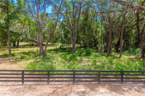 Land in Newberry, Florida № 2197130 - photo 24