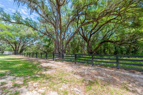 Land in Newberry, Florida № 2197130 - photo 27