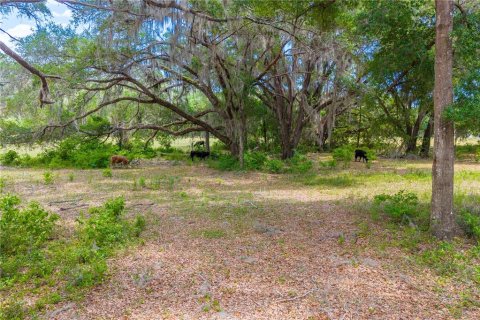 Land in Newberry, Florida № 2197130 - photo 28