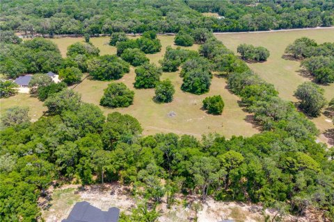 Land in Newberry, Florida № 2197130 - photo 11
