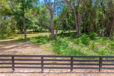 Land in Newberry, Florida № 2197130 - photo 22
