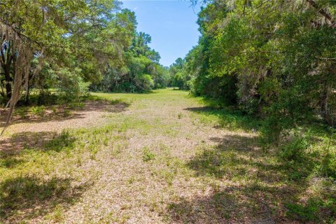 Land in Newberry, Florida № 2197130 - photo 29