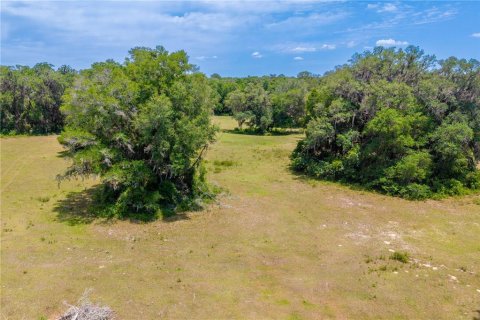Land in Newberry, Florida № 2197130 - photo 16