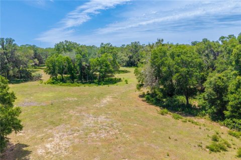 Land in Newberry, Florida № 2197130 - photo 17