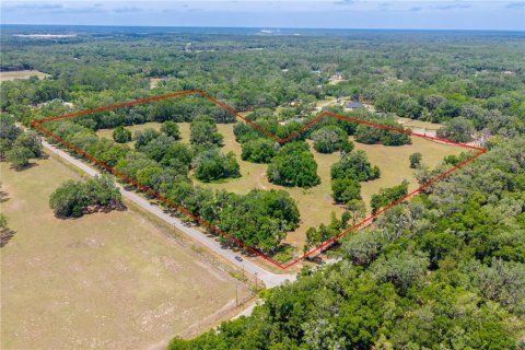 Land in Newberry, Florida № 2197130 - photo 5