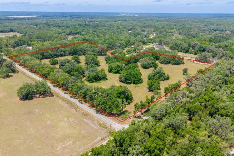 Land in Newberry, Florida № 2197130 - photo 4