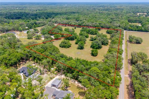 Land in Newberry, Florida № 2197130 - photo 8