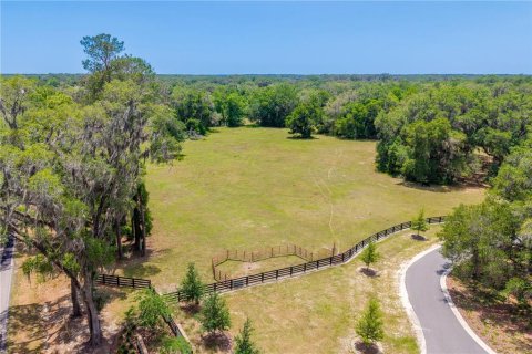 Land in Newberry, Florida № 2197130 - photo 19