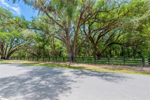 Land in Newberry, Florida № 2197130 - photo 26