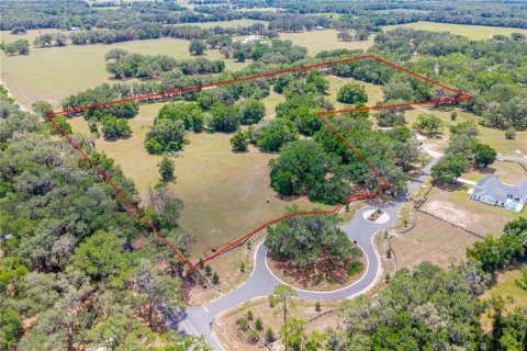 Land in Newberry, Florida № 2197130 - photo 3