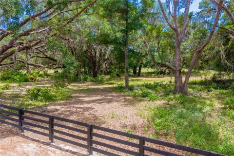 Land in Newberry, Florida № 2197130 - photo 25