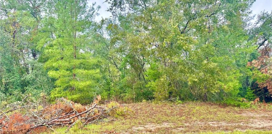 Terreno en Ocala, Florida № 1670190