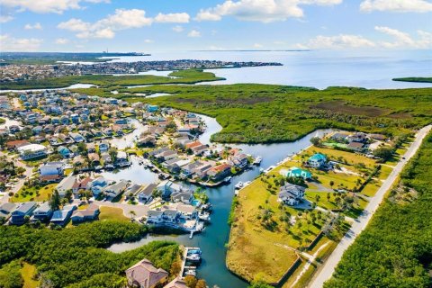 Touwnhouse à vendre à New Port Richey, Floride: 3 chambres, 233.18 m2 № 2214177 - photo 29