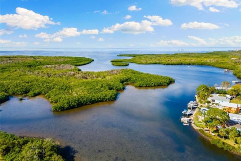 Touwnhouse à vendre à New Port Richey, Floride: 3 chambres, 233.18 m2 № 2214177 - photo 25