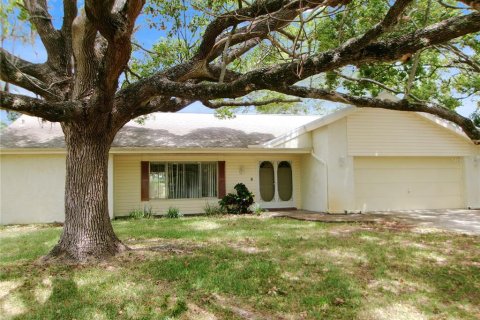House in Hudson, Florida 3 bedrooms, 164.53 sq.m. № 2219855