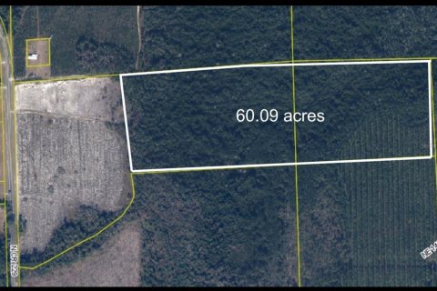 Terreno en Raiford, Florida № 2148216
