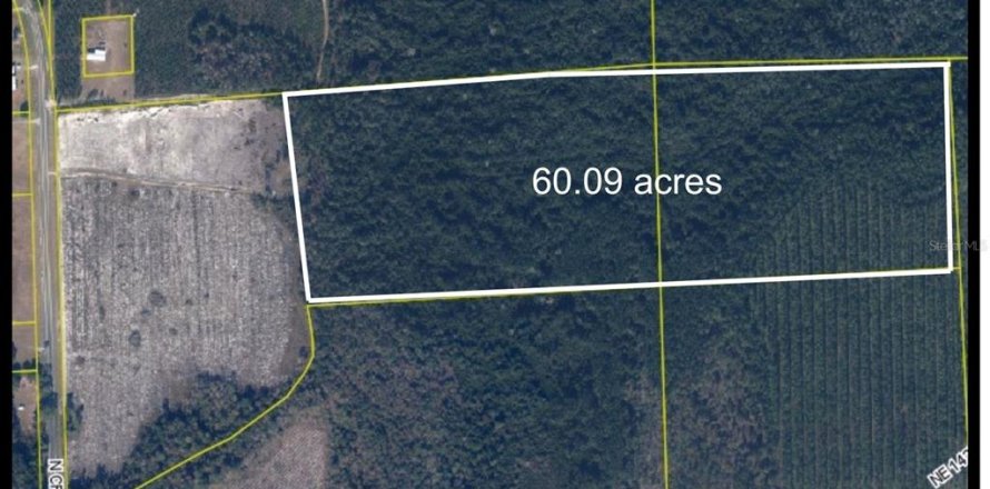 Terreno en Raiford, Florida № 2148216