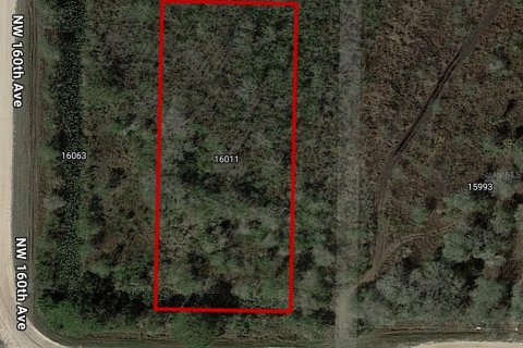 Terreno en Okeechobee, Florida № 2206421