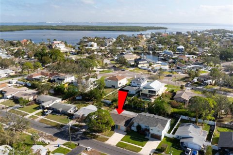 Villa ou maison à vendre à Saint Petersburg, Floride: 3 chambres, 151.06 m2 № 1517529 - photo 2