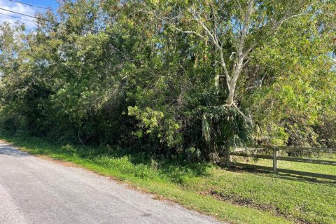 Land in The Acreage, Florida № 1154212 - photo 1