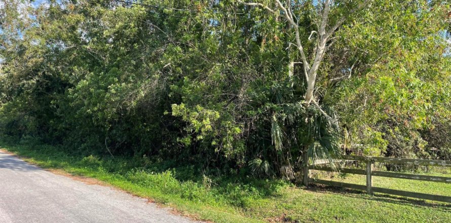 Land in The Acreage, Florida № 1154212