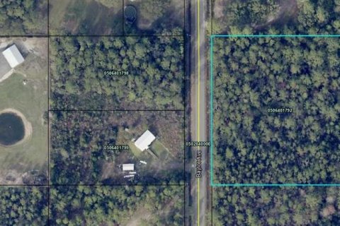 Land in Hastings, Florida № 1894755 - photo 2