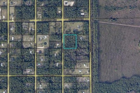 Land in Hastings, Florida № 1894755 - photo 3