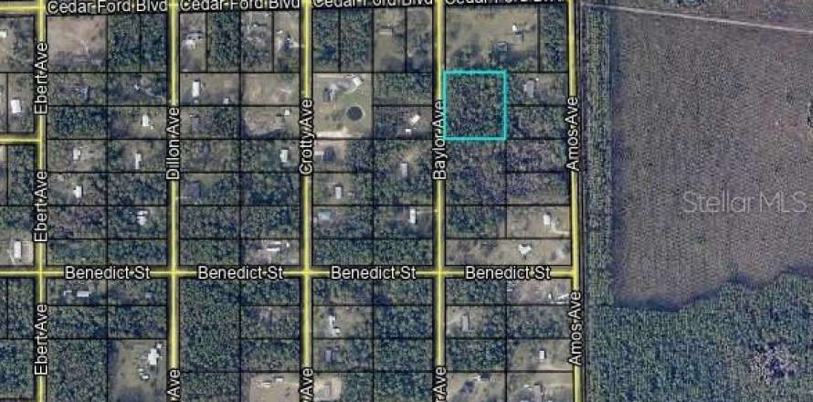 Land in Hastings, Florida № 1894755