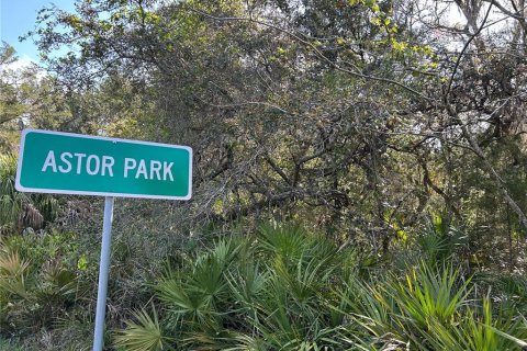 Land in Astor, Florida № 2123545