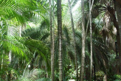 Снять в аренду кондоминиум в Майами, Флорида 1 спальня, 73.11м2, № 2001812 - фото 14