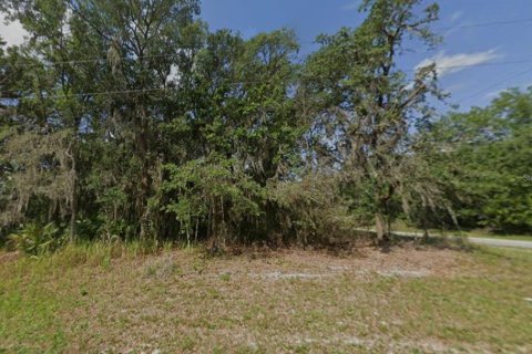 Land in Ocala, Florida № 2162623