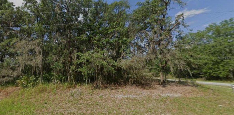 Land in Ocala, Florida № 2162623