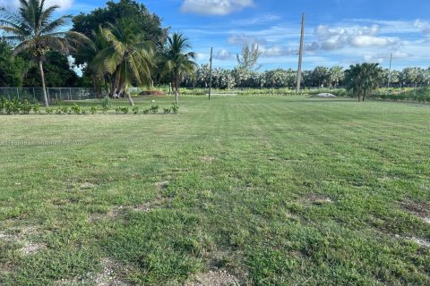 Land in Homestead, Florida № 1827610 - photo 5