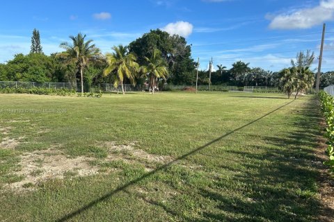 Land in Homestead, Florida № 1827610 - photo 3