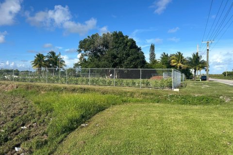 Land in Homestead, Florida № 1827610 - photo 1