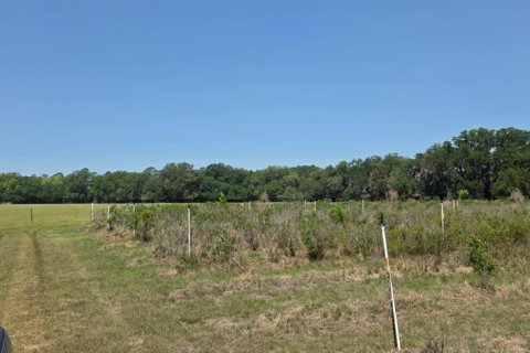 Terrain à vendre à Hawthorne, Floride № 2150596 - photo 3