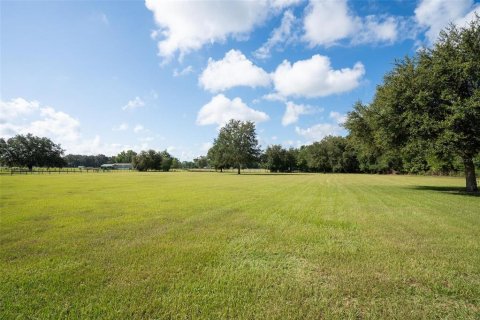 Terreno en venta en Altoona, Florida № 1911067 - foto 24