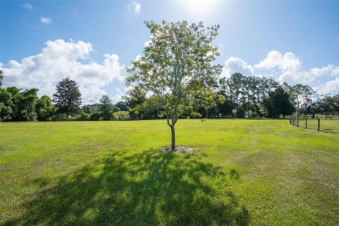 Terreno en venta en Altoona, Florida № 1911067 - foto 23