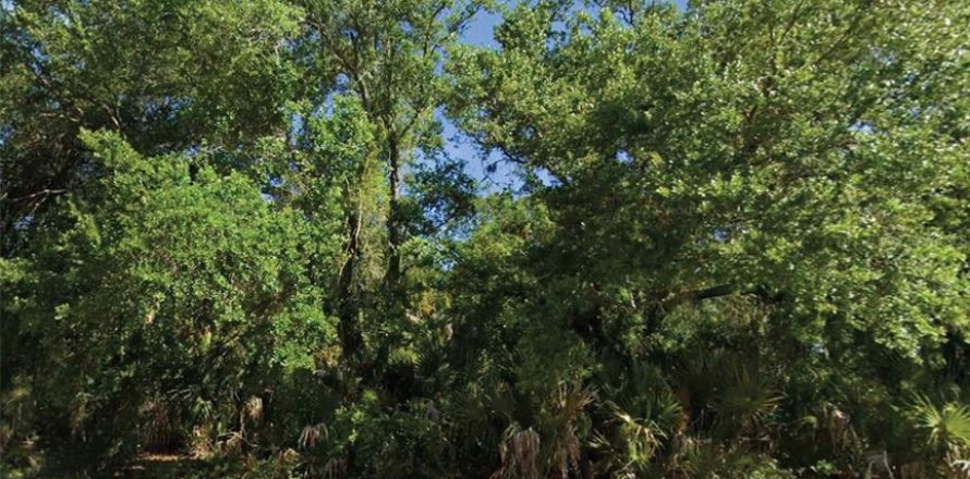 Terrain à North Port, Floride № 2158679