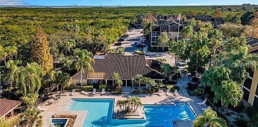 Estudio en el Condominio en Saint Petersburg, Florida  № 1904124
