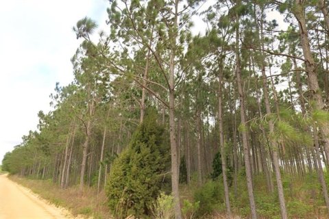Terrain à vendre à Bascom, Floride № 2415597 - photo 4