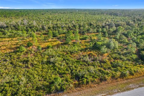 Land in Lake Wales, Florida № 2160227 - photo 12