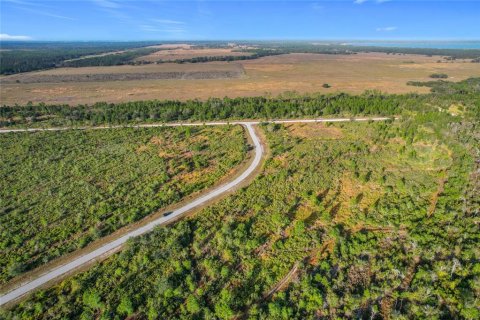Land in Lake Wales, Florida № 2160227 - photo 17
