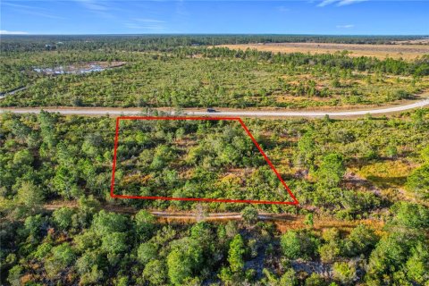 Land in Lake Wales, Florida № 2160227