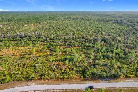 Land in Lake Wales, Florida № 2160227 - photo 6
