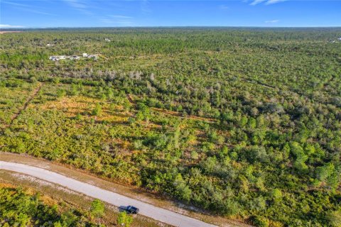 Land in Lake Wales, Florida № 2160227 - photo 7