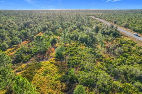 Land in Lake Wales, Florida № 2160227 - photo 16