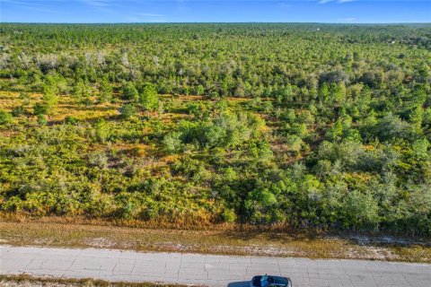 Land in Lake Wales, Florida № 2160227 - photo 13