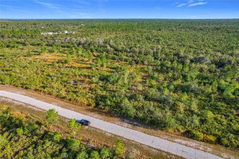 Land in Lake Wales, Florida № 2160227 - photo 10