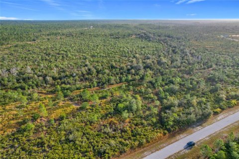 Land in Lake Wales, Florida № 2160227 - photo 5